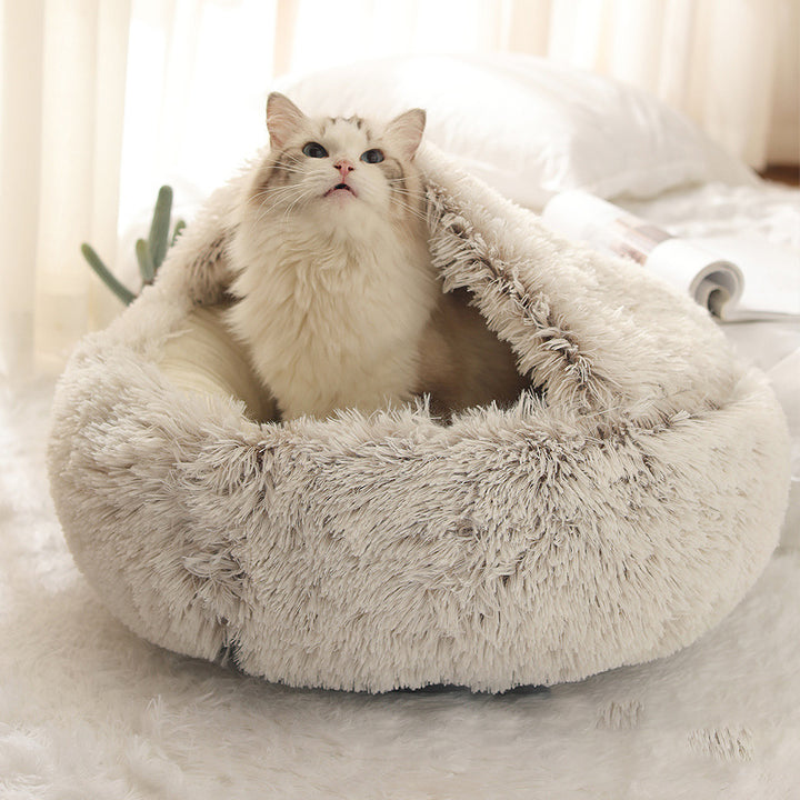 Katzenbettt