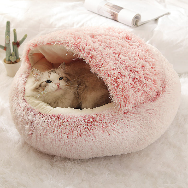 Katzenbettt
