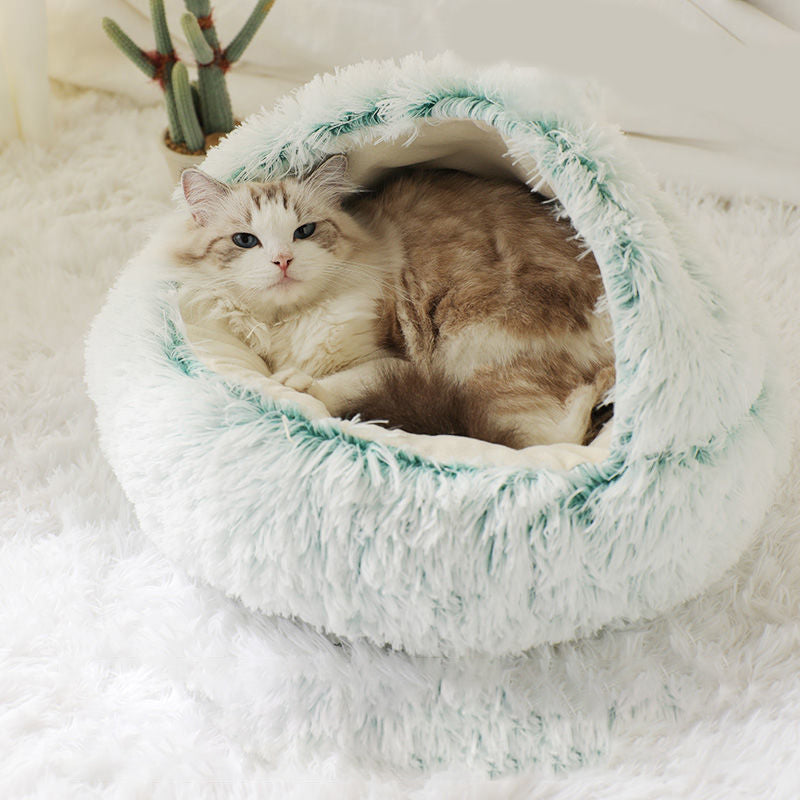Katzenbettt