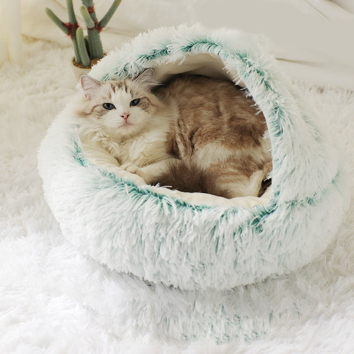 Katzenbettt
