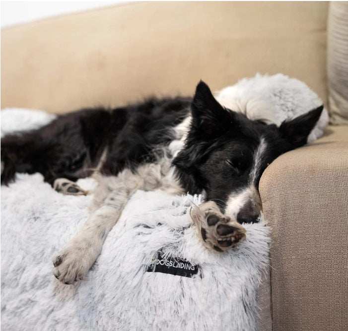 Hundebett für Sofas